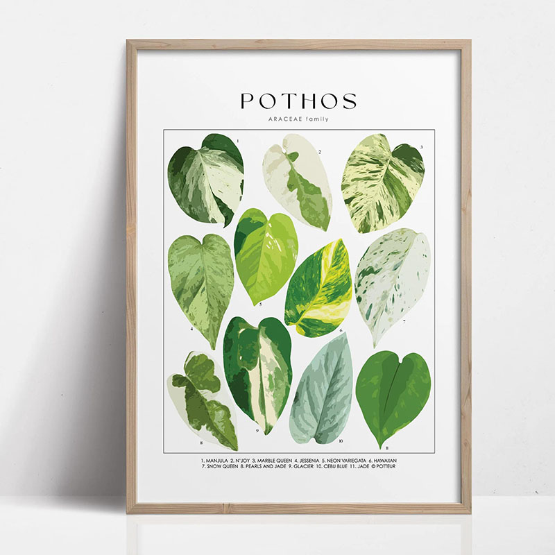1pc Modern Houseplants Leaves  - مراجعة Home Office Youtube وسعره