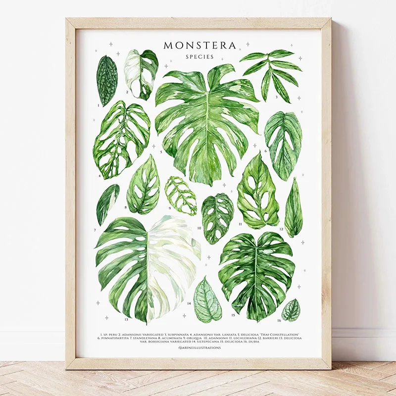 1pc Modern Houseplants Leaves  - مراجعة Home Office Youtube وسعره