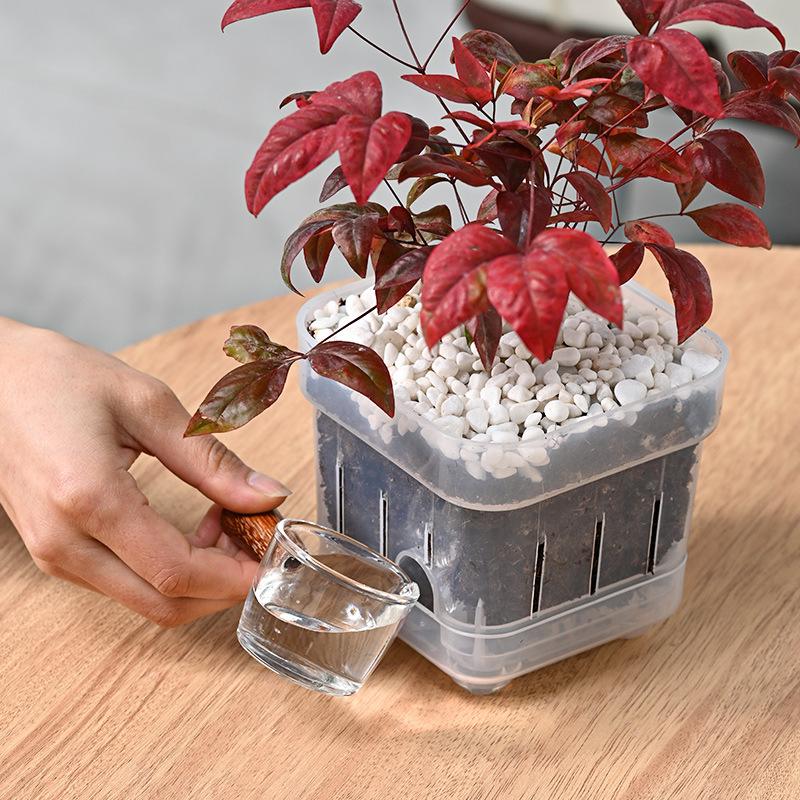 Square Root View Planter Pot B - مراجعة Home Office With View وسعره
