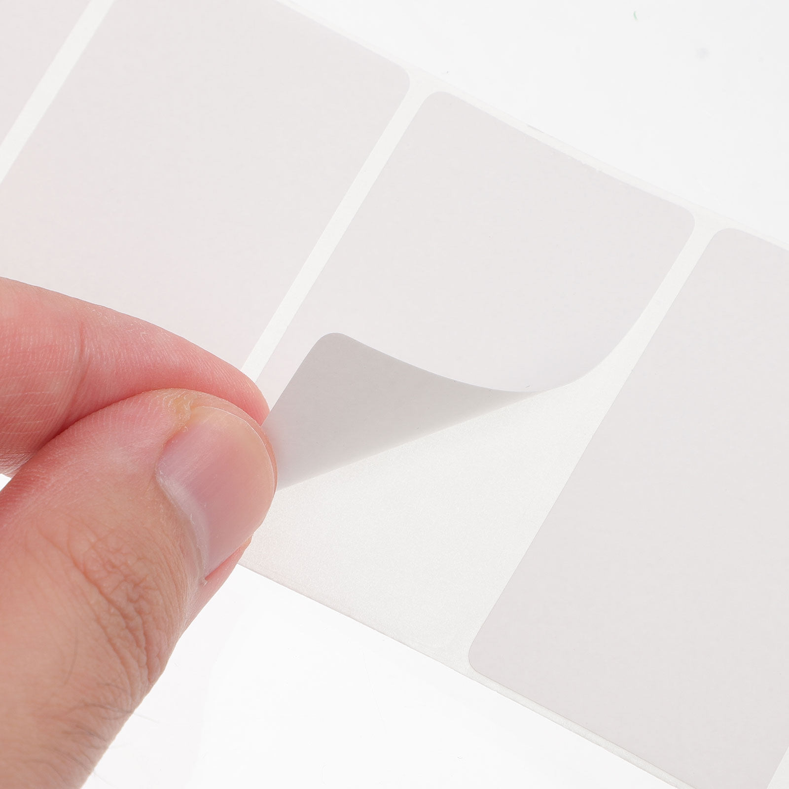 1 Roll Color Thermal Labels Se - مراجعة Address Home Office وسعره